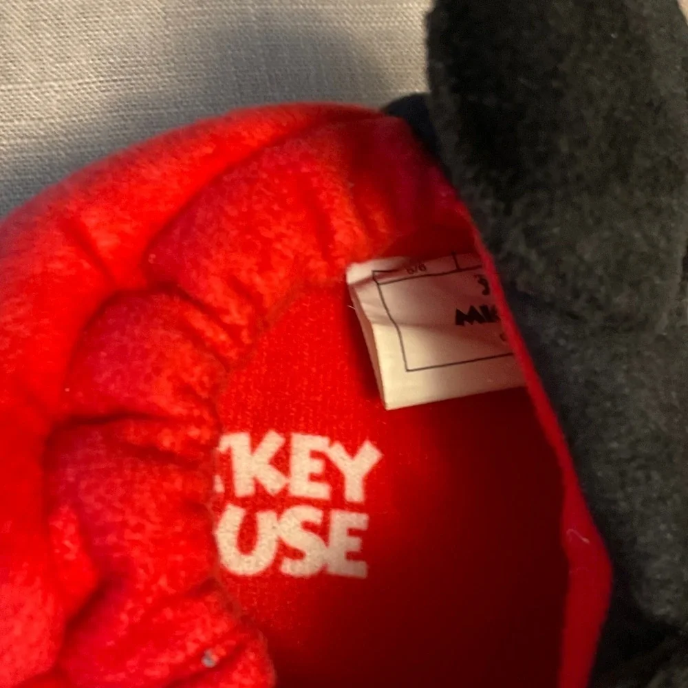 Mickey cozy fun